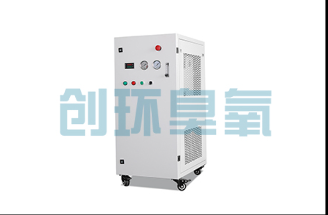 鸡西工厂化养鲈必看:2026年臭氧发生器替代传统消毒的最新方案