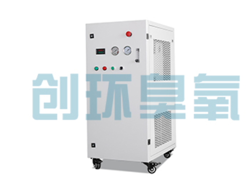 鸡西石斑鱼养殖水质调控完整指南：臭氧发生器配置与操作步骤