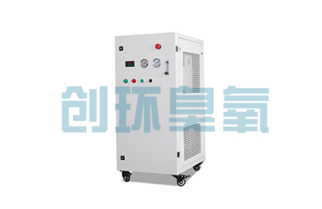鸡西比传统换水更高效？臭氧发生器在石斑鱼养殖中的水质净化原理解析