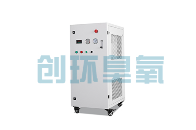 鸡西比传统换水更高效?臭氧发生器在石斑鱼养殖中的水质净化原理解析
